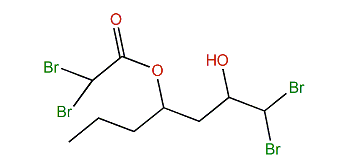 Ptilonine E